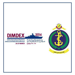 DIMDEX Logo