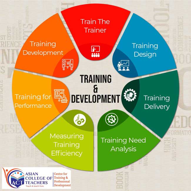 Training & Development Infographic